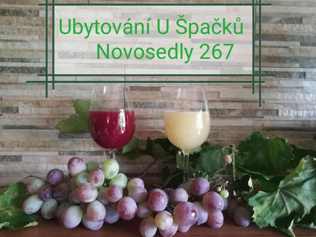 Ubytovani U Spacku Palava Novosedly  Buitenkant foto