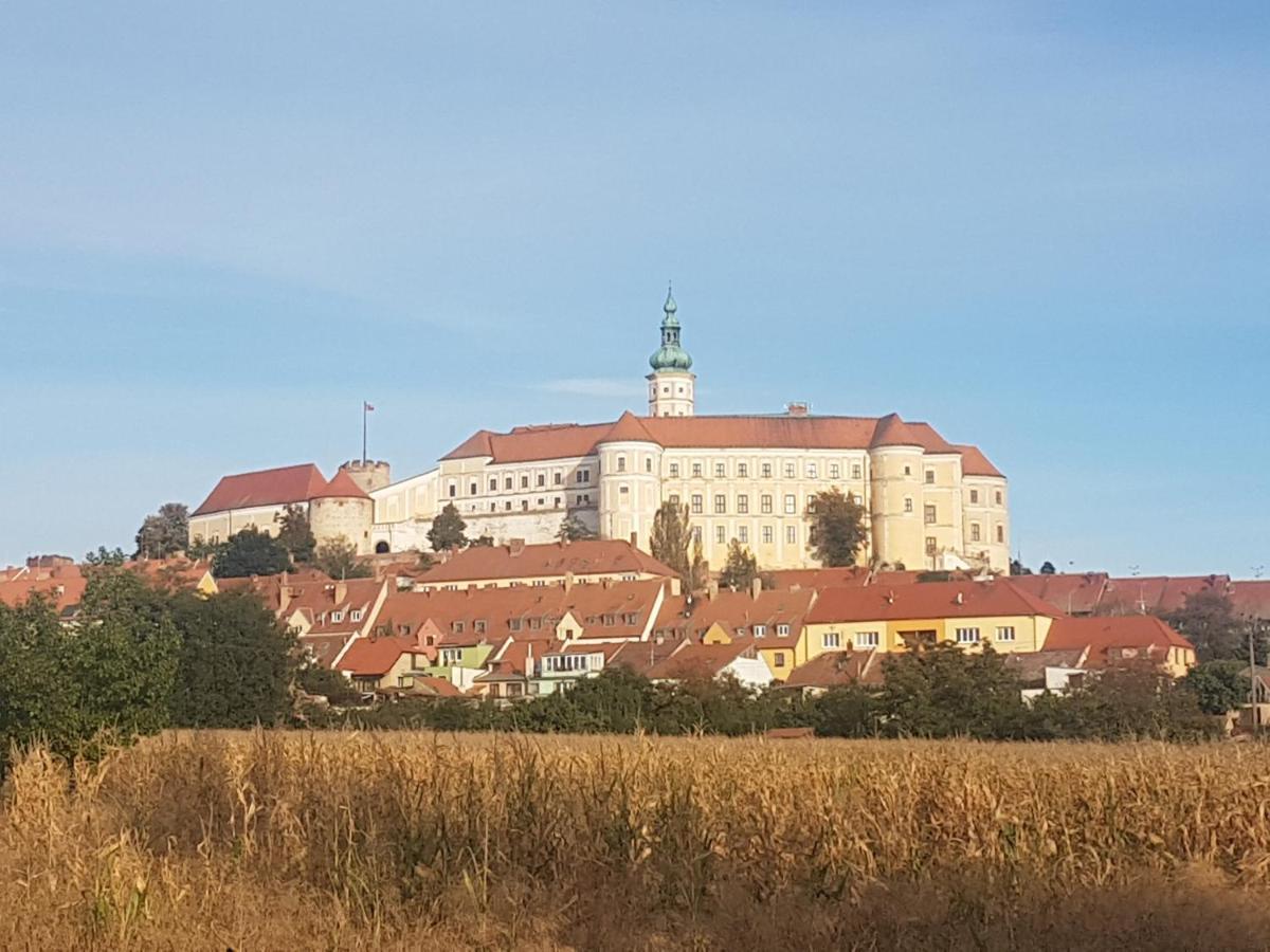Ubytovani U Spacku Palava Novosedly  Buitenkant foto