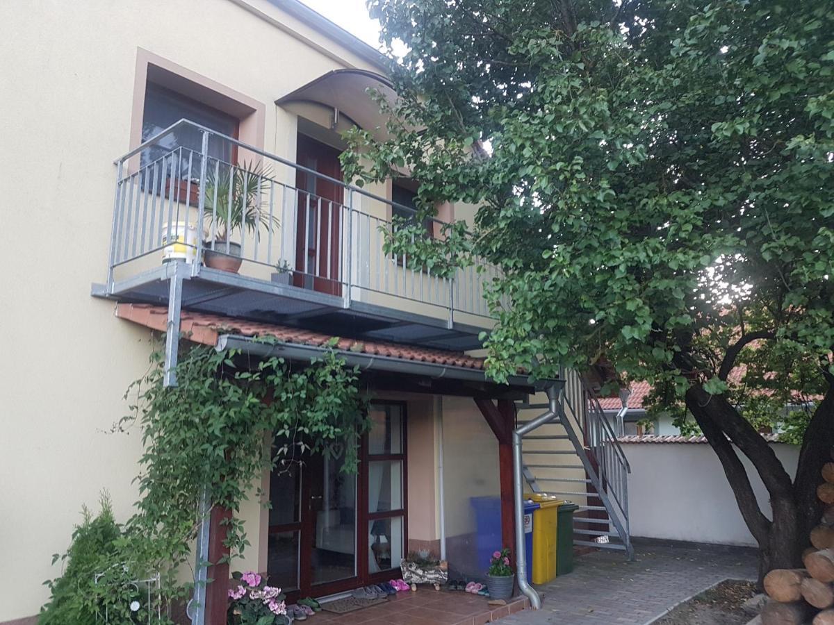 Ubytovani U Spacku Palava Novosedly  Buitenkant foto
