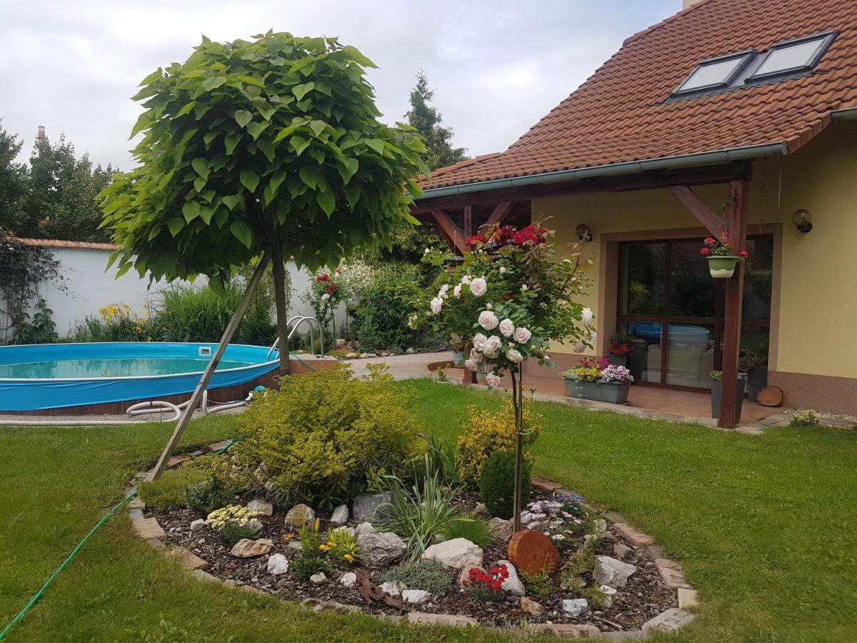 Ubytovani U Spacku Palava Novosedly  Buitenkant foto