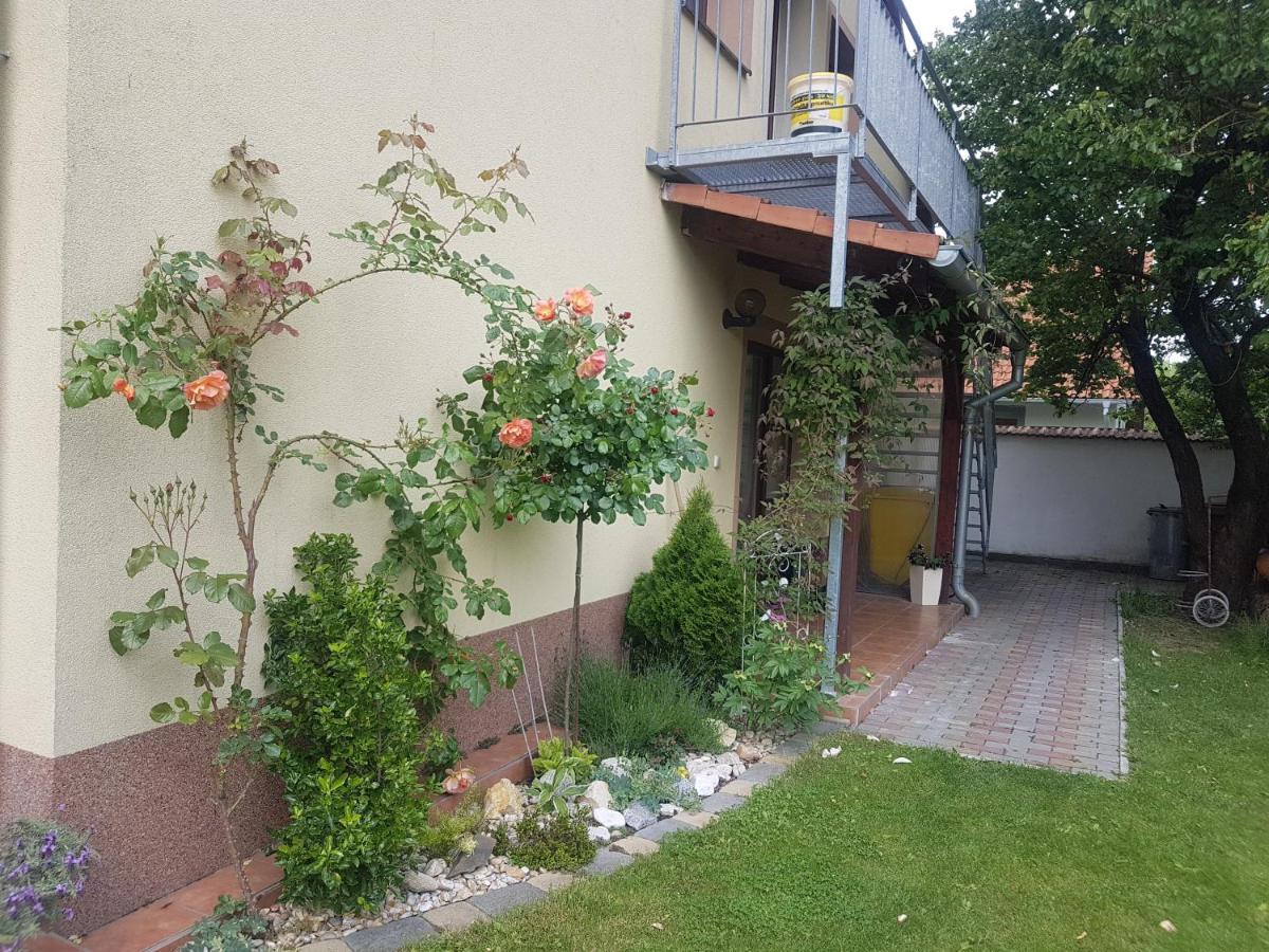 Ubytovani U Spacku Palava Novosedly  Buitenkant foto