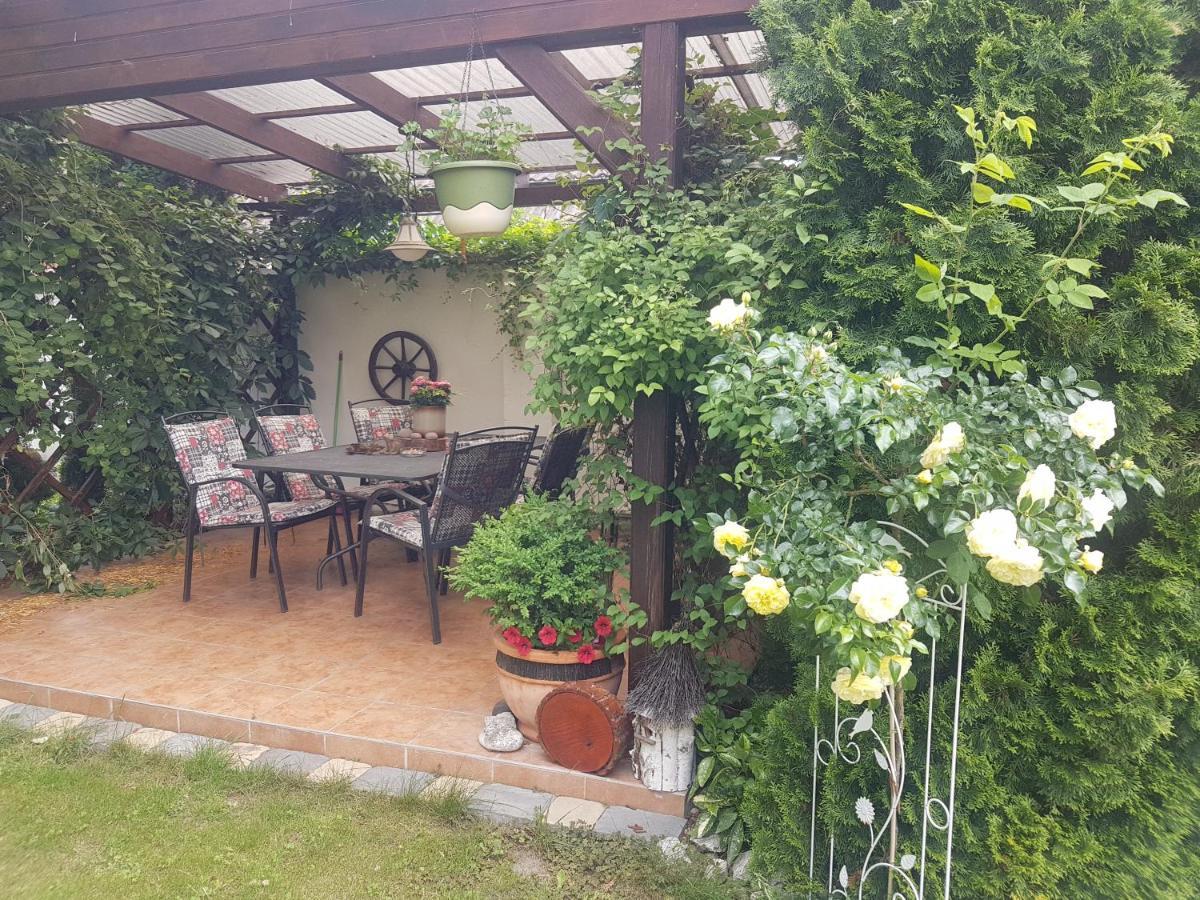 Ubytovani U Spacku Palava Novosedly  Buitenkant foto