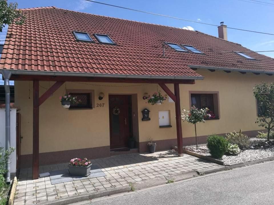 Ubytovani U Spacku Palava Novosedly  Buitenkant foto