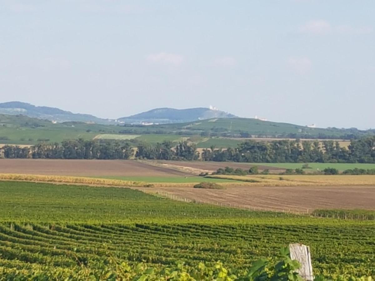 Ubytovani U Spacku Palava Novosedly  Buitenkant foto