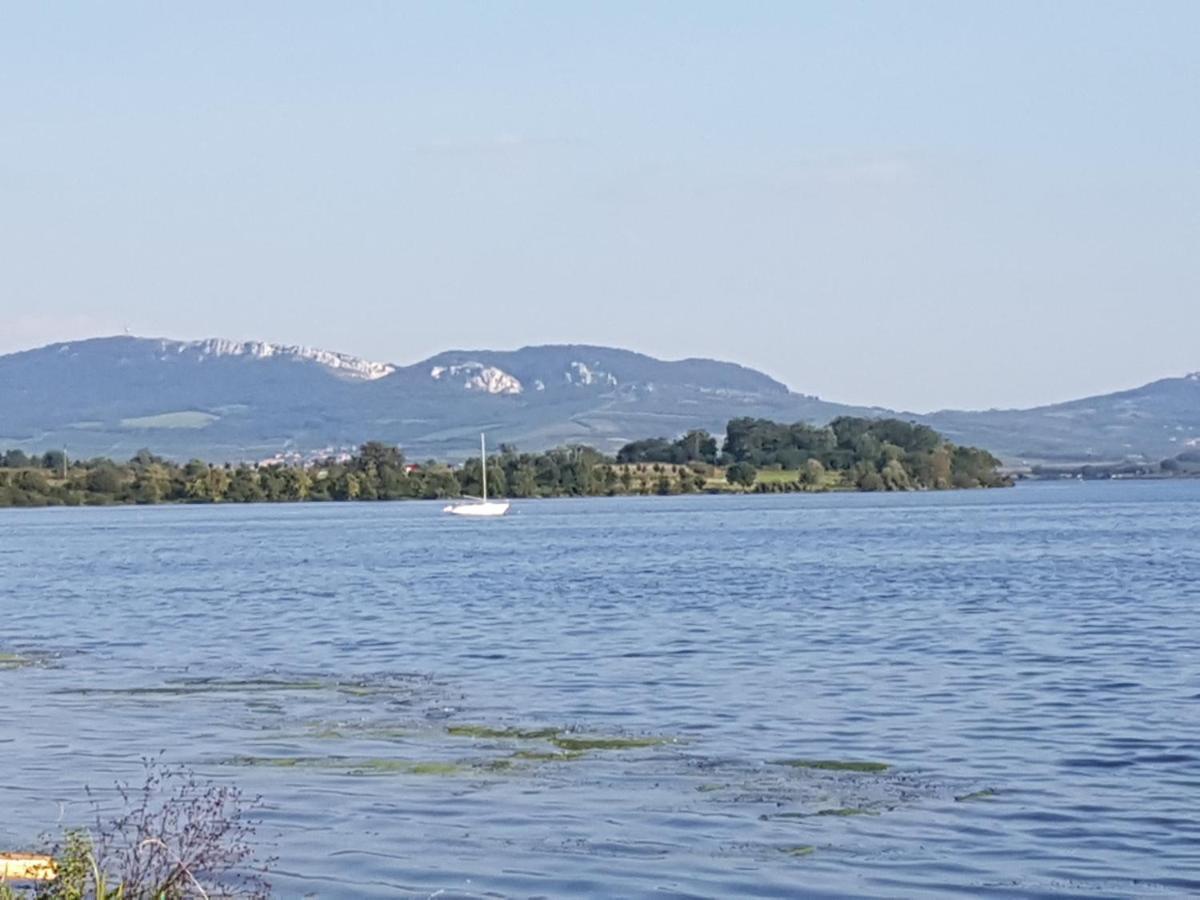 Ubytovani U Spacku Palava Novosedly  Buitenkant foto