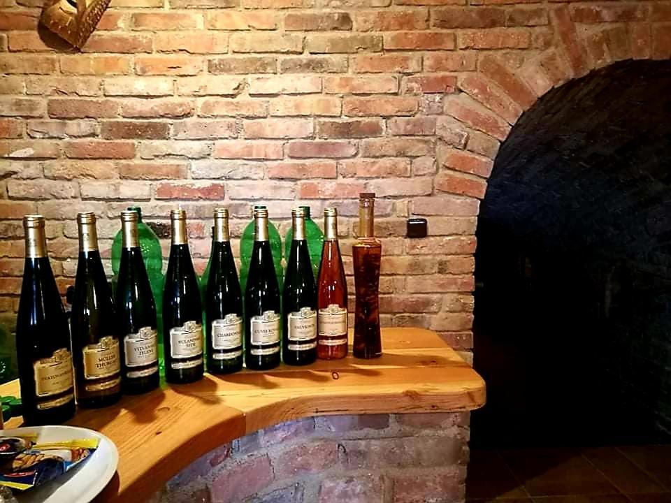 Ubytovani U Spacku Palava Novosedly  Buitenkant foto