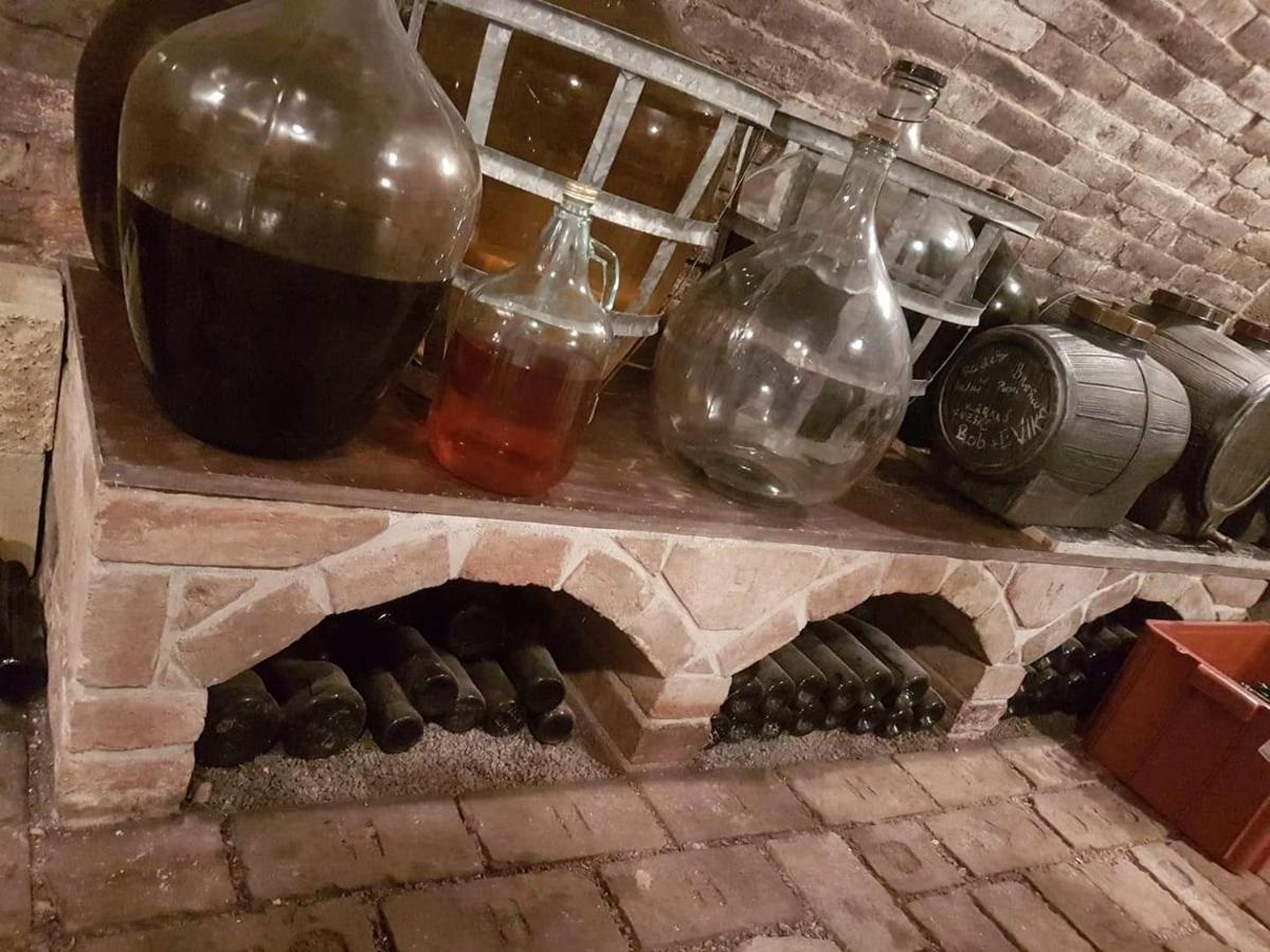 Ubytovani U Spacku Palava Novosedly  Buitenkant foto