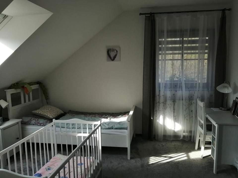 Ubytovani U Spacku Palava Novosedly  Buitenkant foto