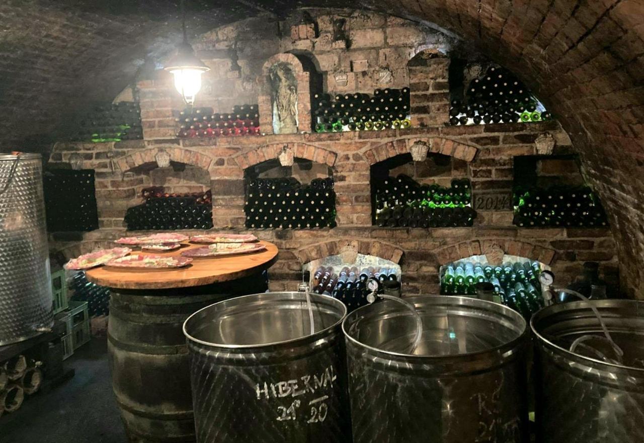 Ubytovani U Spacku Palava Novosedly  Buitenkant foto