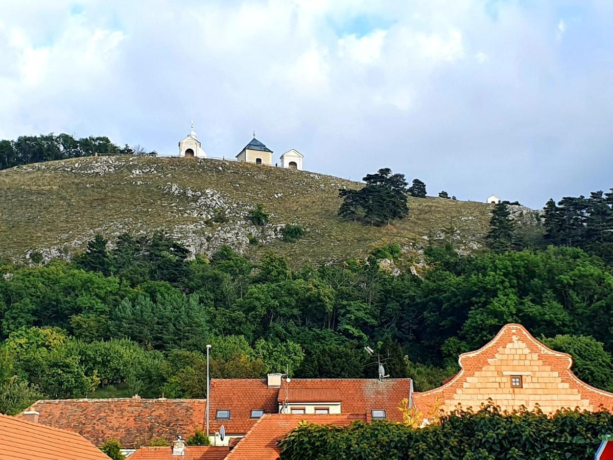 Ubytovani U Spacku Palava Novosedly  Buitenkant foto