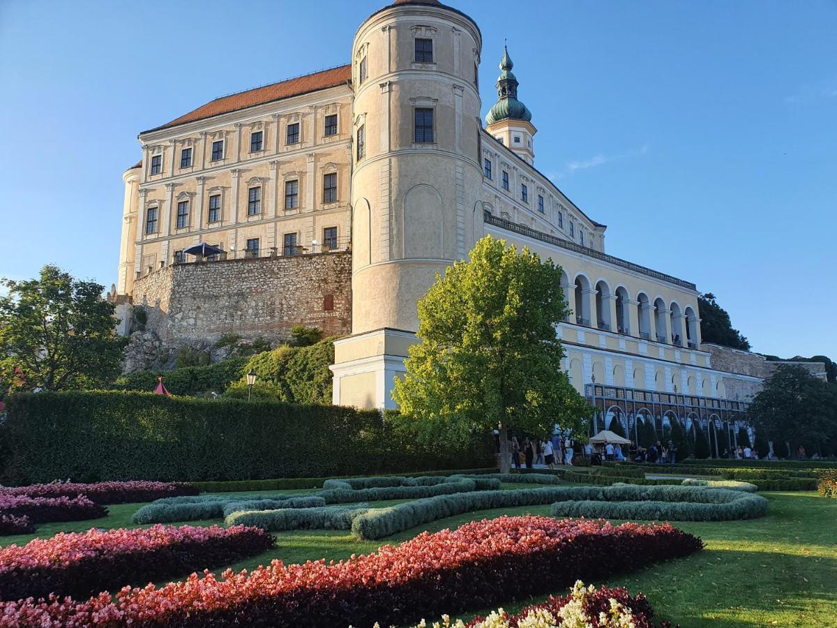 Ubytovani U Spacku Palava Novosedly  Buitenkant foto