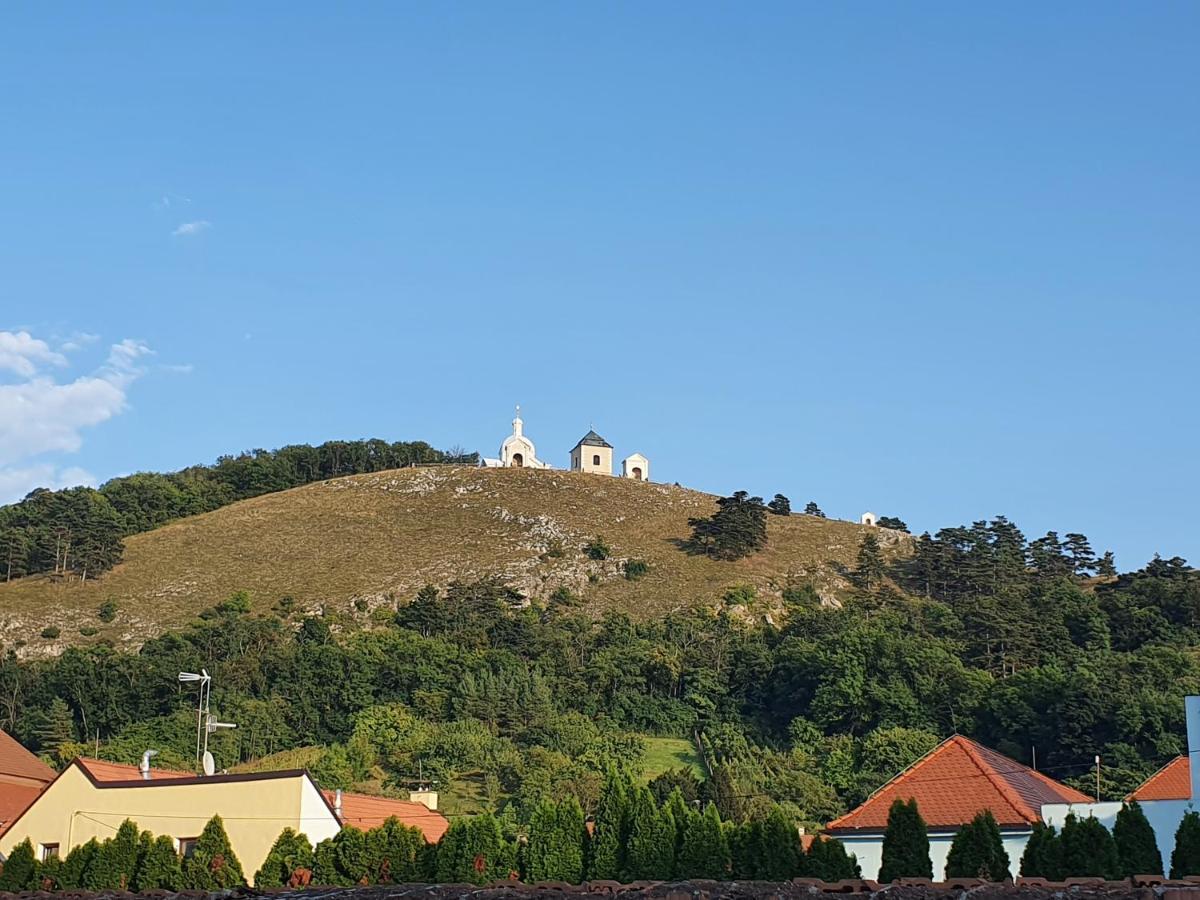 Ubytovani U Spacku Palava Novosedly  Buitenkant foto