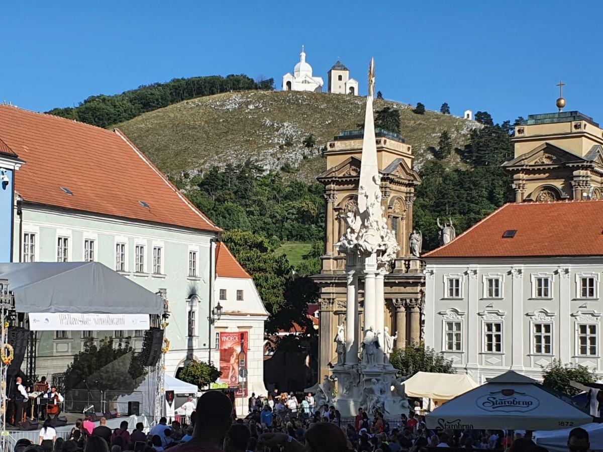 Ubytovani U Spacku Palava Novosedly  Buitenkant foto